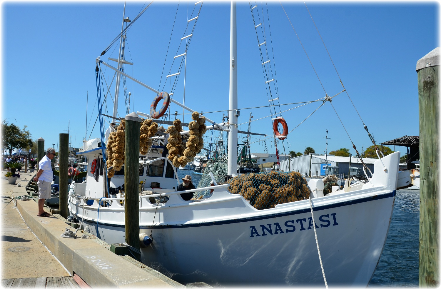 Tarpon Springs Sponge Docks
